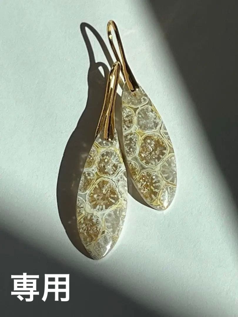 ＊＊COCO＊＊　14kgf フォッシルコーラル ピアス