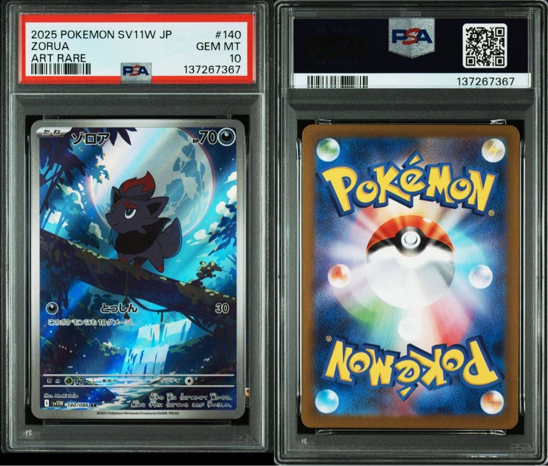 PSA10】ゾロア AR SV11W ホワイトフレア 140/086 - メルカリ