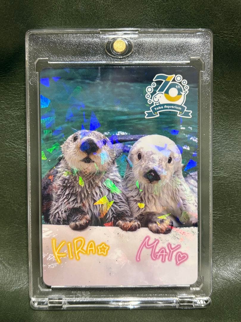 鳥羽水族館　70周年記念　コレクションカード　レアカード　メイ　キラ