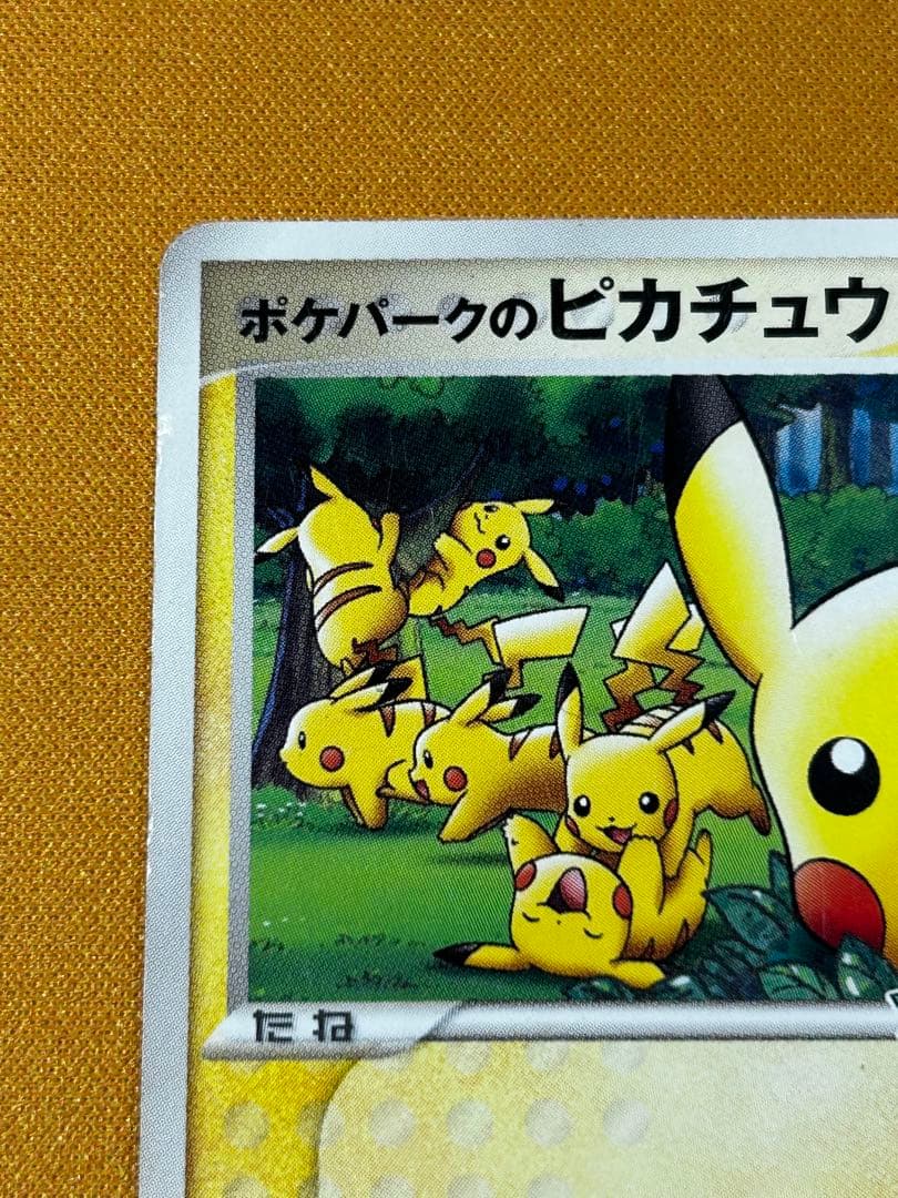 ポケパークのピカチュウ PROMO PCG-Pプロモカード 043/PCG-P - メルカリ