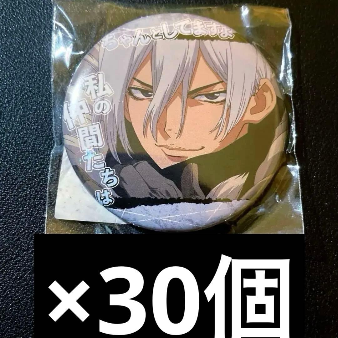 dr.stone アニメイト限定 台詞 缶バッジ 暁 氷月 33個