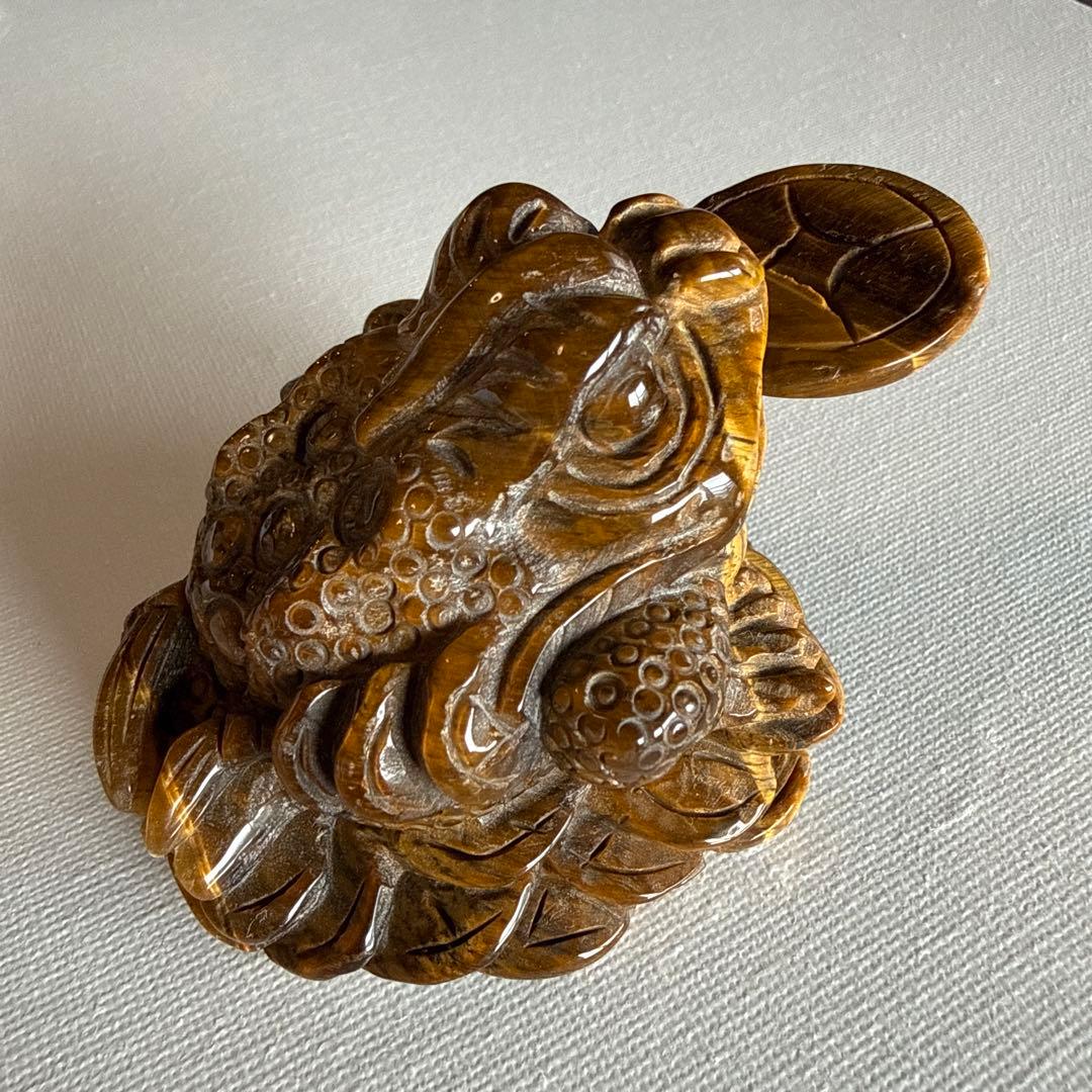 ハイクオリティ タイガーアイ マネーフロッグ（銭蛙）付き 約10cm