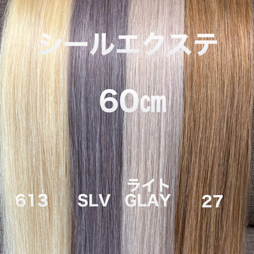 シールエクステ ロングストレート　販売　メッシュカラー