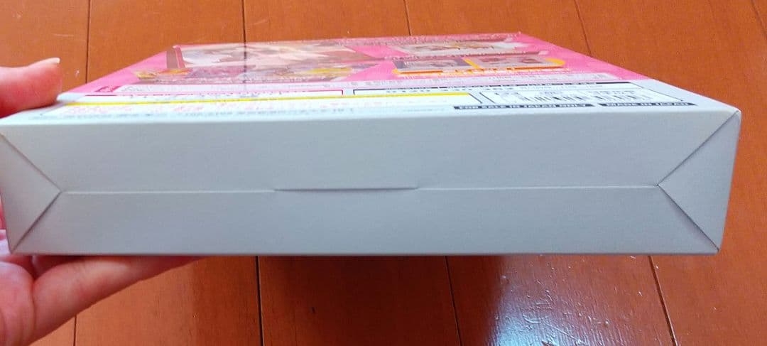 ポケモンカード マリィの練習 未開封 プロモカード ファイル 拡張