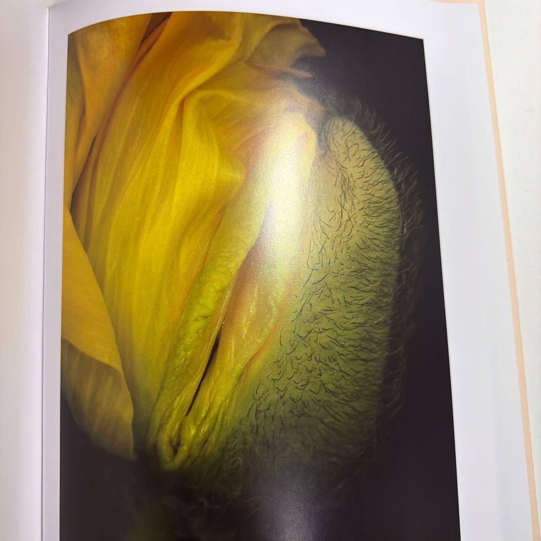 ヘルマン・フォスターリング『Flora Magica』(2006) - メルカリ