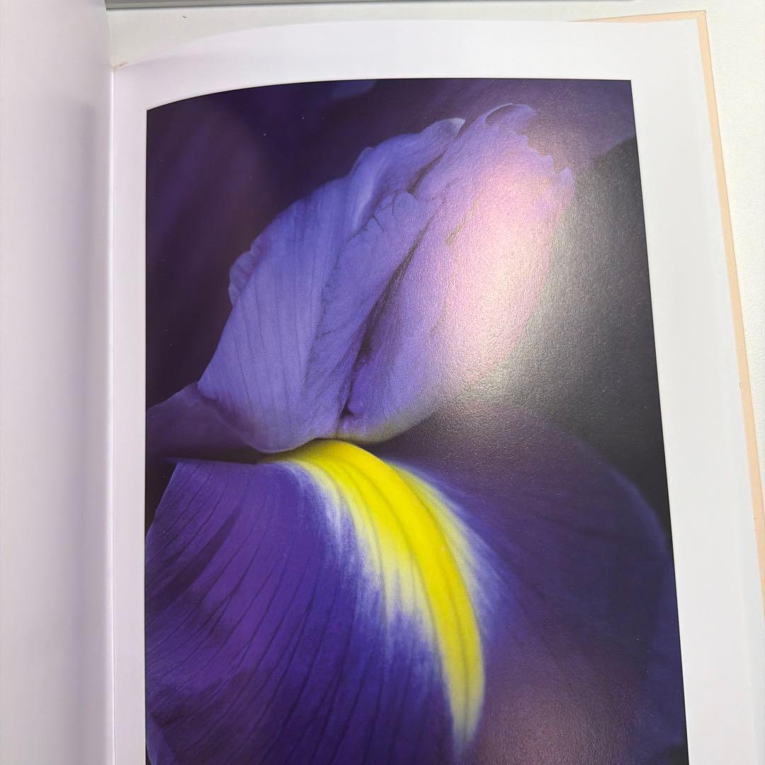 ヘルマン・フォスターリング『Flora Magica』(2006) - メルカリ