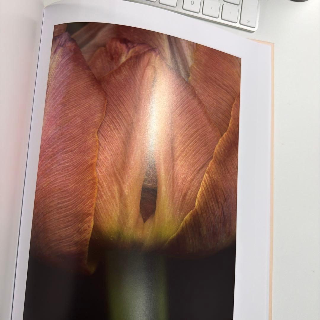 ヘルマン・フォスターリング『Flora Magica』(2006) - メルカリ