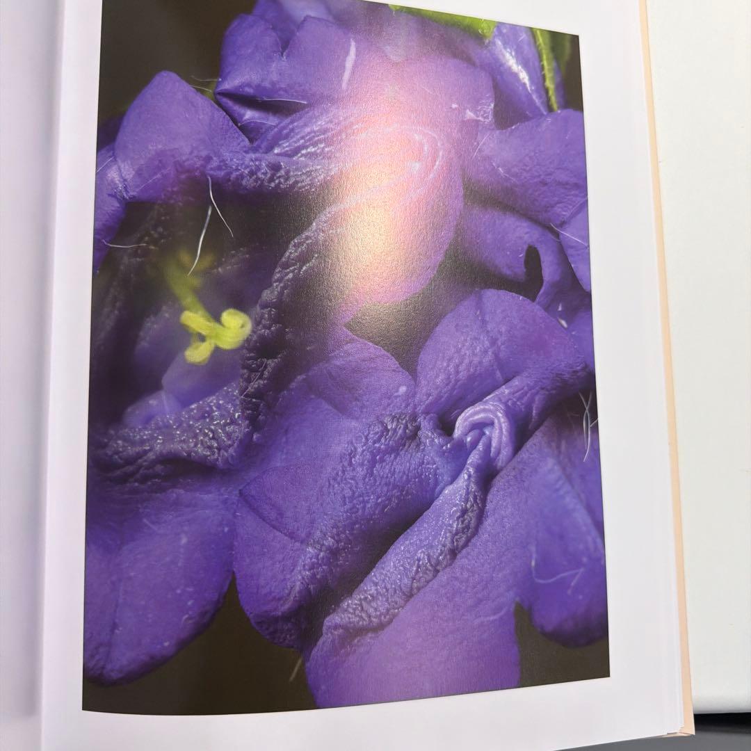 ヘルマン・フォスターリング『Flora Magica』(2006) - メルカリ