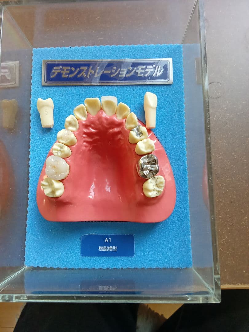 デモンストレーションモデル A1 安心堂ウォッチブティック松坂屋静岡店公式ブログ 【ZENITH】新作の