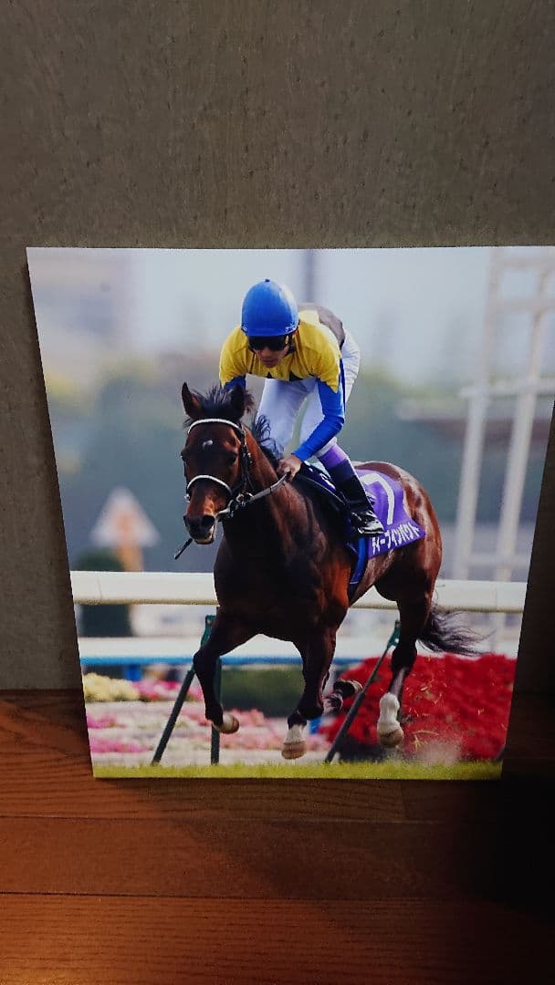 菊花賞馬ディープインパクト号パネル写真