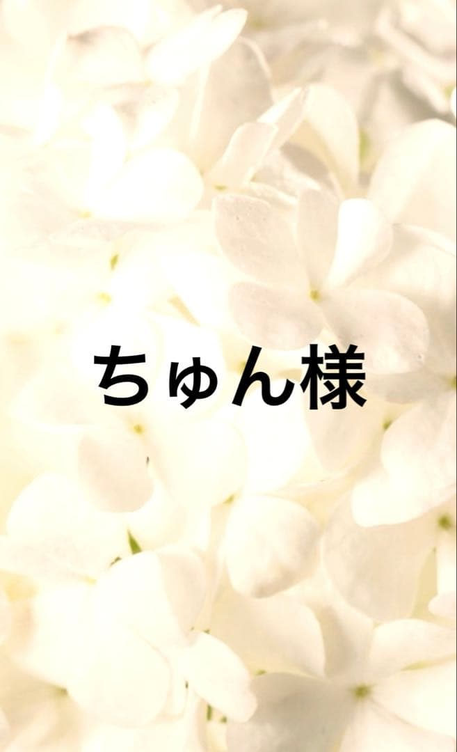 シークエンス12点