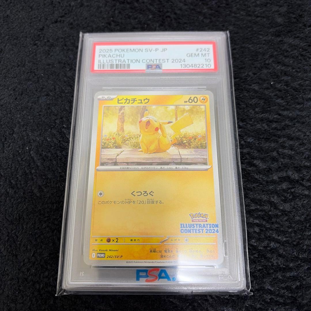 [PSA10]ピカチュウ 242/SV-P PSA10】ピカチュウ P (242/SV-P/) [PROMO] の通販・買取価格（ポケモン
