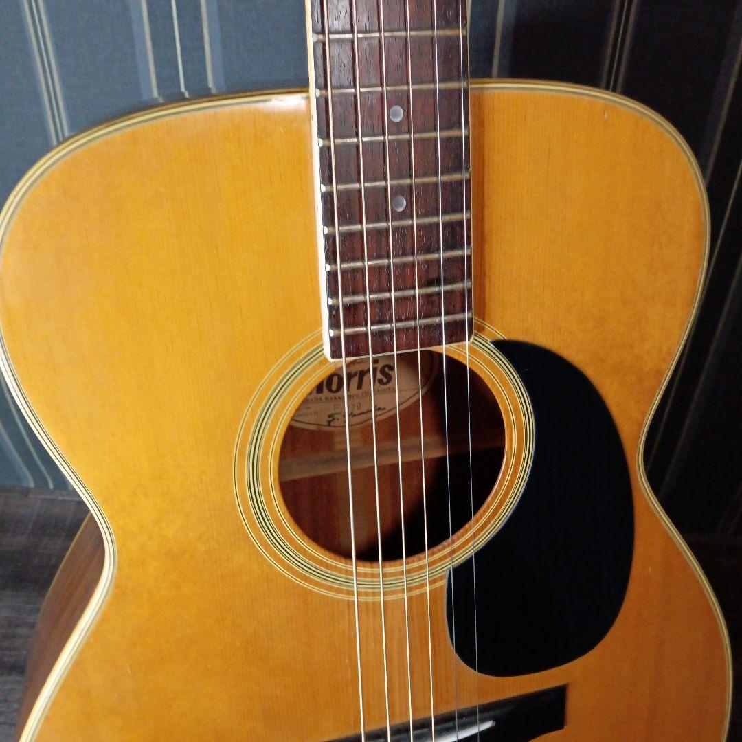 常田大希使用モデル morrisアコギ F-20 ギター KingGnu - メルカリ