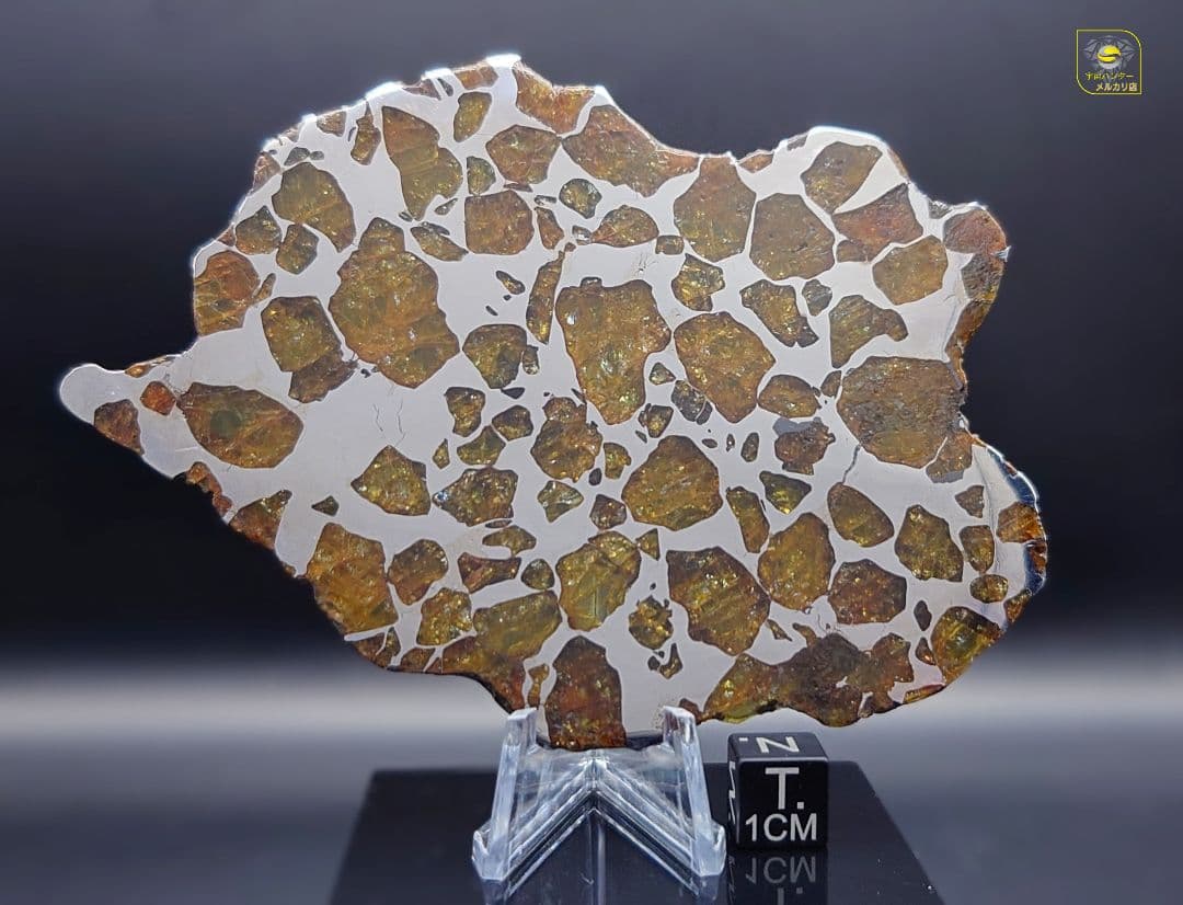 トッポー★65.59g イミラック パラサイト 隕石 Imilac⭐⭐⭐