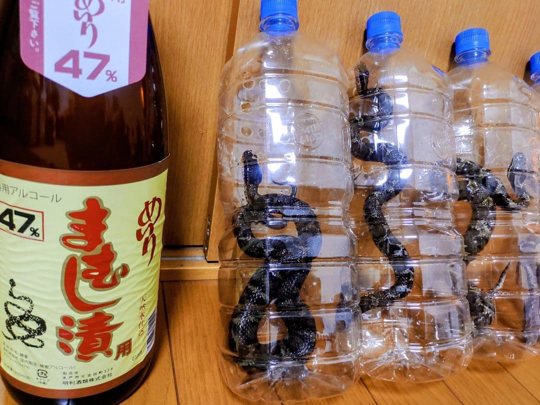 NPT！4匹セット！まむし酒　マムシ酒 ちゃがたパーク限定オリジナル品】 菊水酒造 まむし酒 天然マムシ蛇
