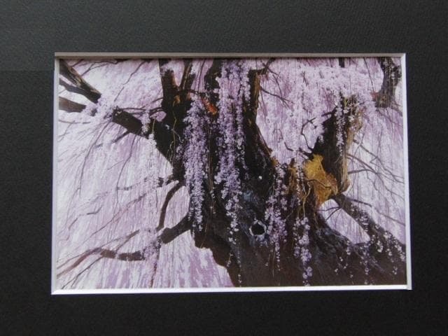 赤木曠児郎、グレー・シュール・ロアンの黒田清輝通り、希少な画集より