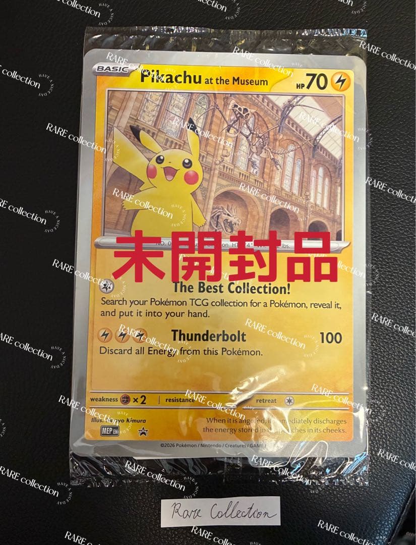Pikachu at the Museum ピカチュウ ロンドン自然史博物館14 - メルカリ
