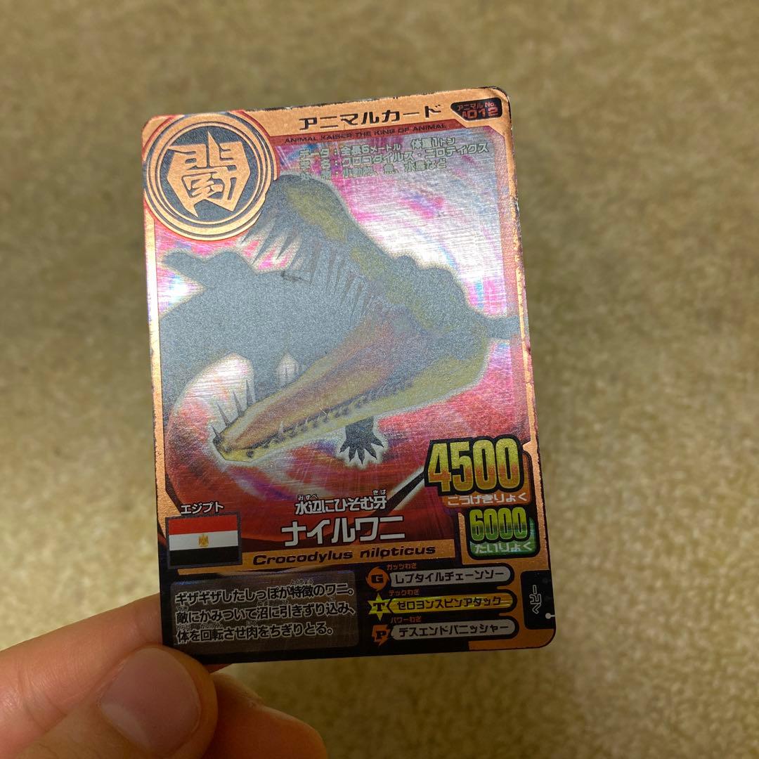 百獣大戦 アニマルカイザー カードセット - メルカリ