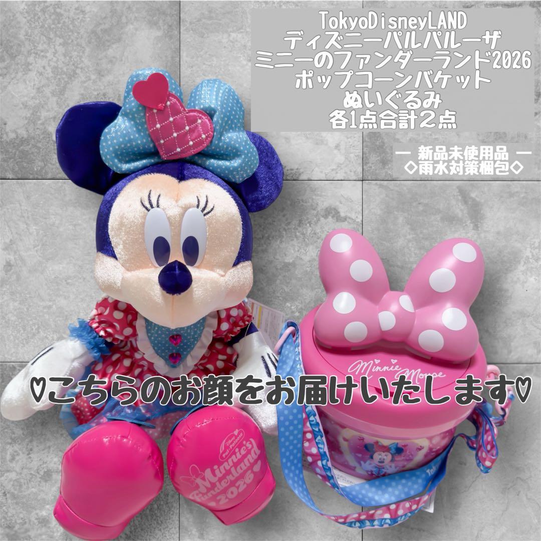 ラスト1セット！ディズニー パルパルーザ ミニー ポップコーンバケットぬいぐるみ