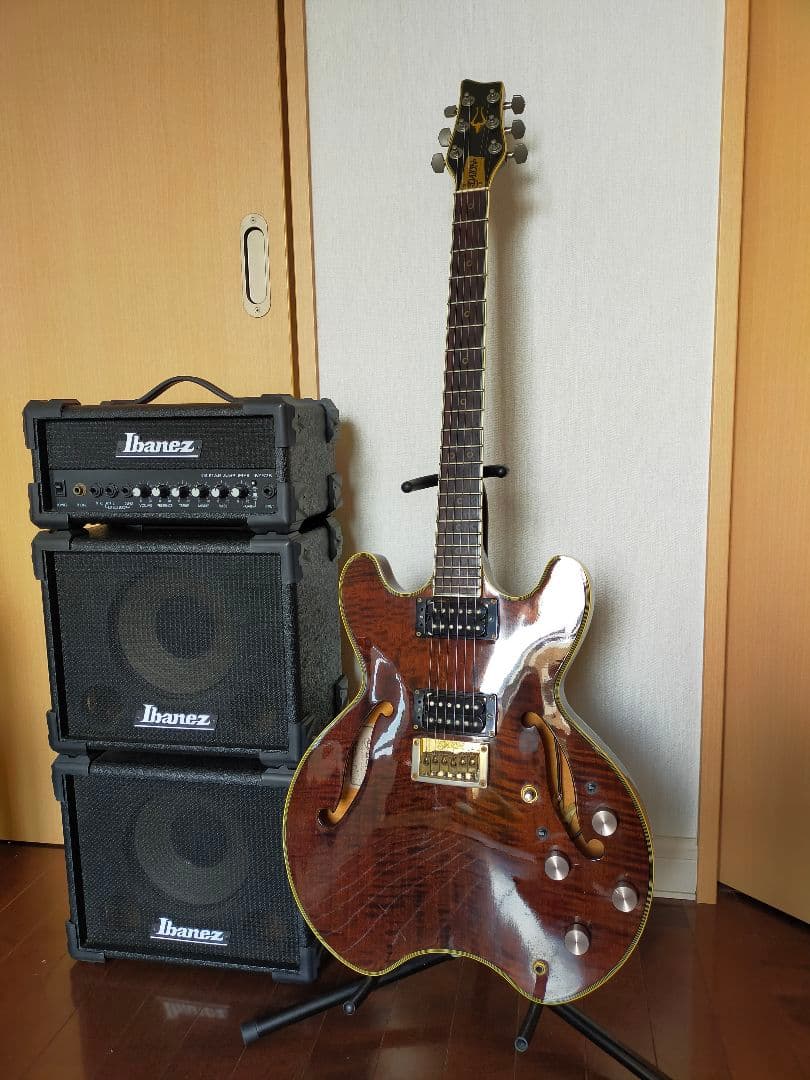 激レアDaion hh-555 Headhunter 555 ダイオン セミアコ - メルカリ