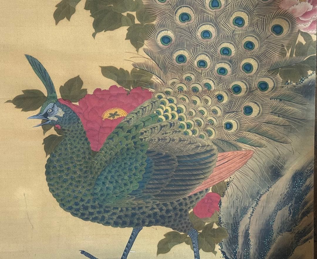 孔雀牡丹の圖 絹本肉筆 落款 掛軸 古美術 送料込み250716 - メルカリ