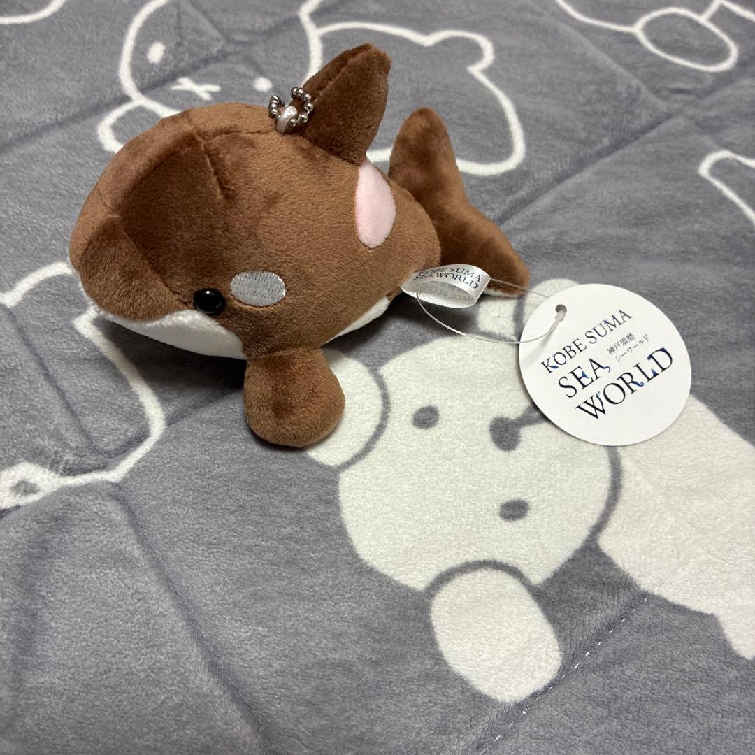 ゆ*ん様 須磨シーワールド　シャチ　ショコラデュオカラー　ぬいぐるみ　キーホルダ 須磨シーワールド シャチ オルカくじ 新色 ショコラデュオカラー