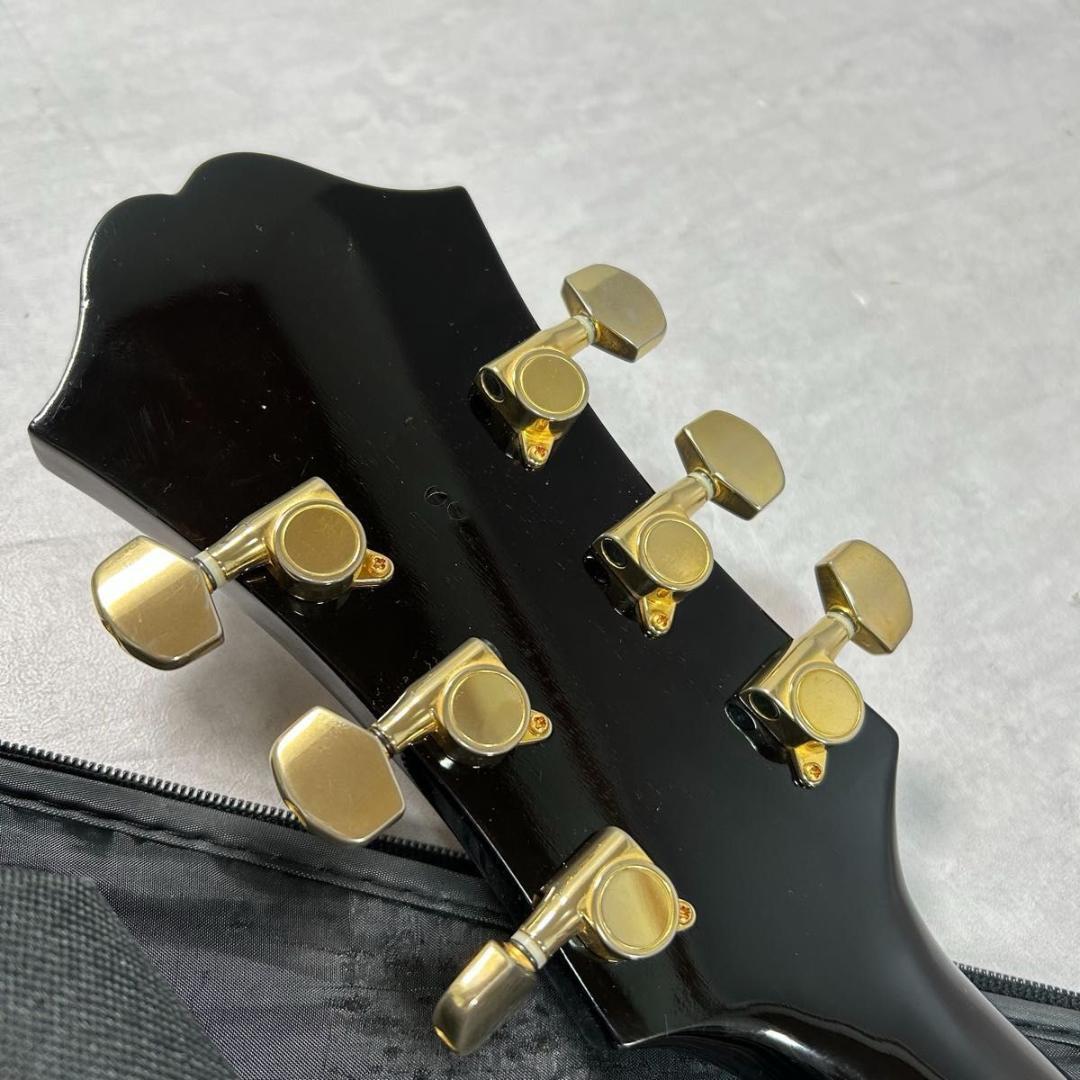 Epiphone × WILD TURKEY エピフォン×ワイルドターキー 限定 - メルカリ