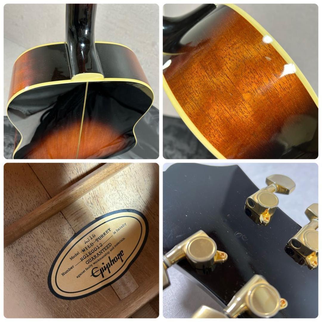 Epiphone × WILD TURKEY エピフォン×ワイルドターキー 限定 - メルカリ