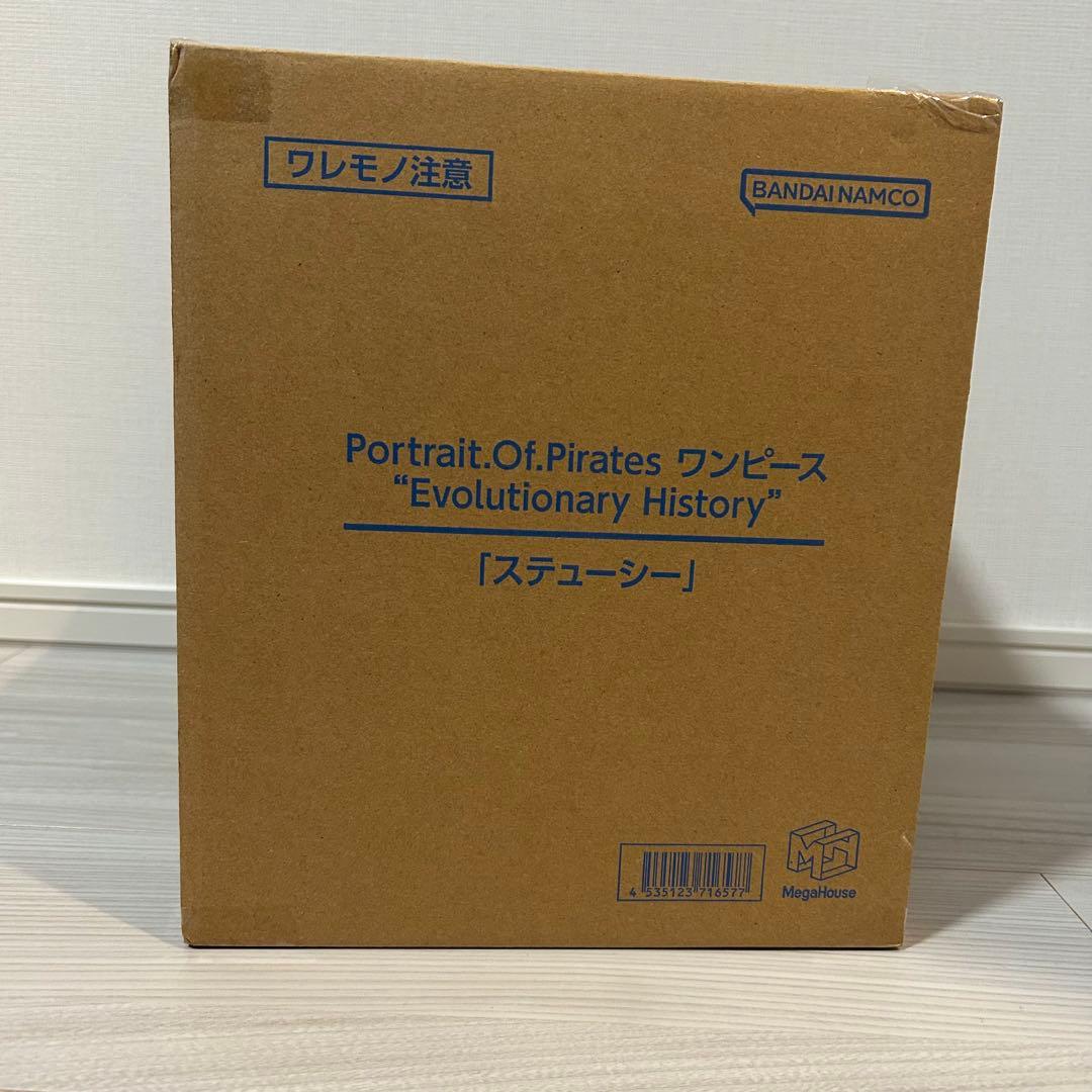 P.O.P Evolutionary History ステューシー