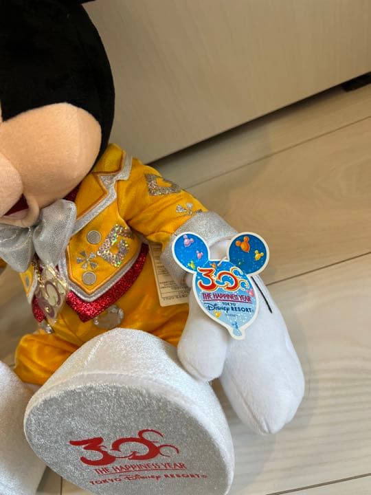 ディズニー】ディズニーリゾート購入 自立 ミッキー 30周年 ミニー