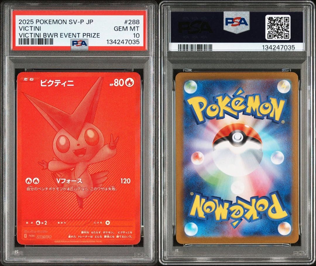 ビクティニ PSA10 BWR争奪戦 プロモ 288/SV-P 限定配布