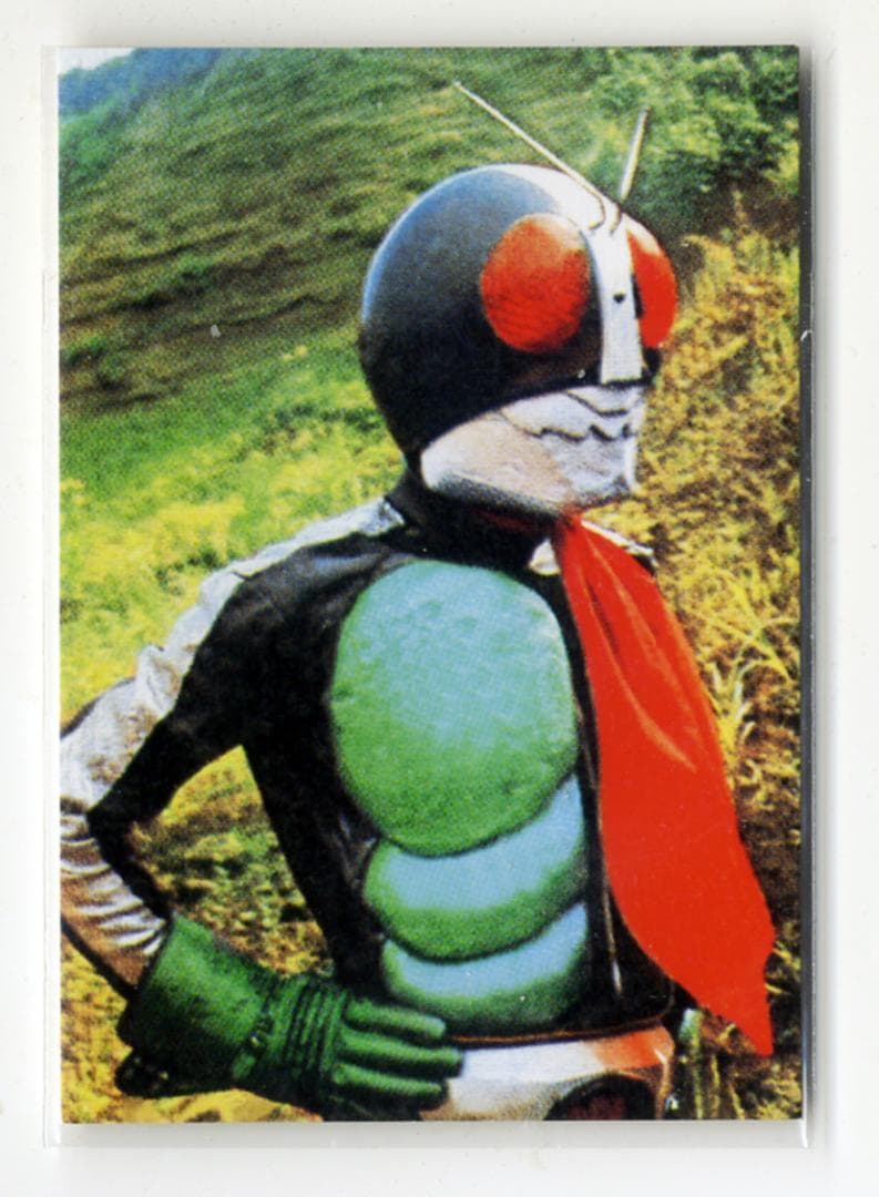 超レア 41EX EX-01 カルビー 仮面ライダーチップスカード （2003