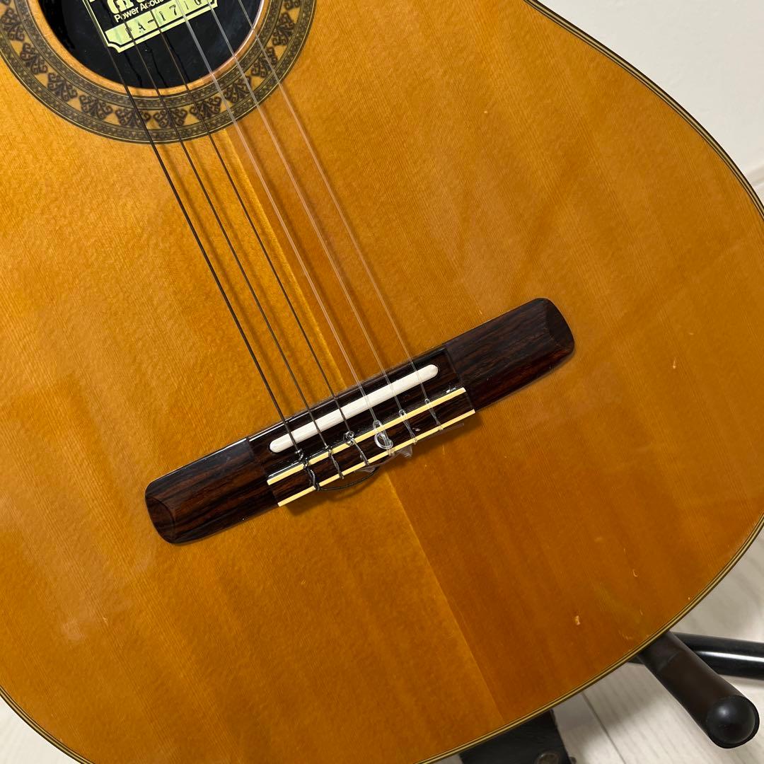 MORRIS GrooVin PA-17G エレガット ギター モーリス - メルカリ