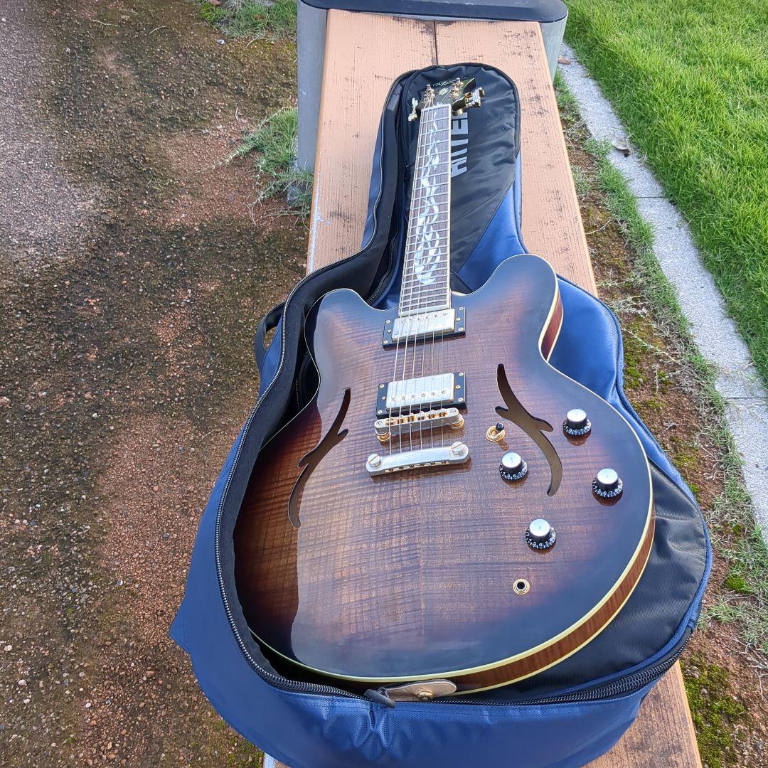 Michael Kelly セミアコギター スペシャル ギグバッグ ストラップ付