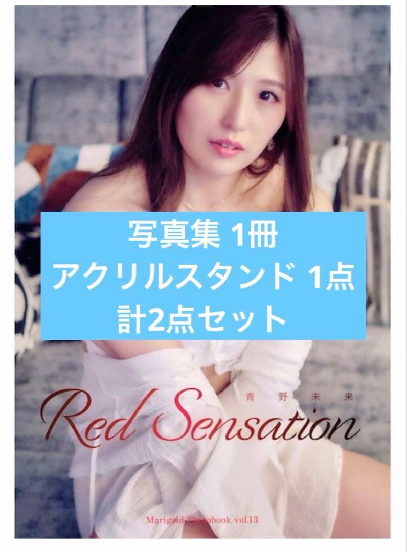 女子プロレス マリーゴールド アクリルスタンド 青野未来 写真集 2点