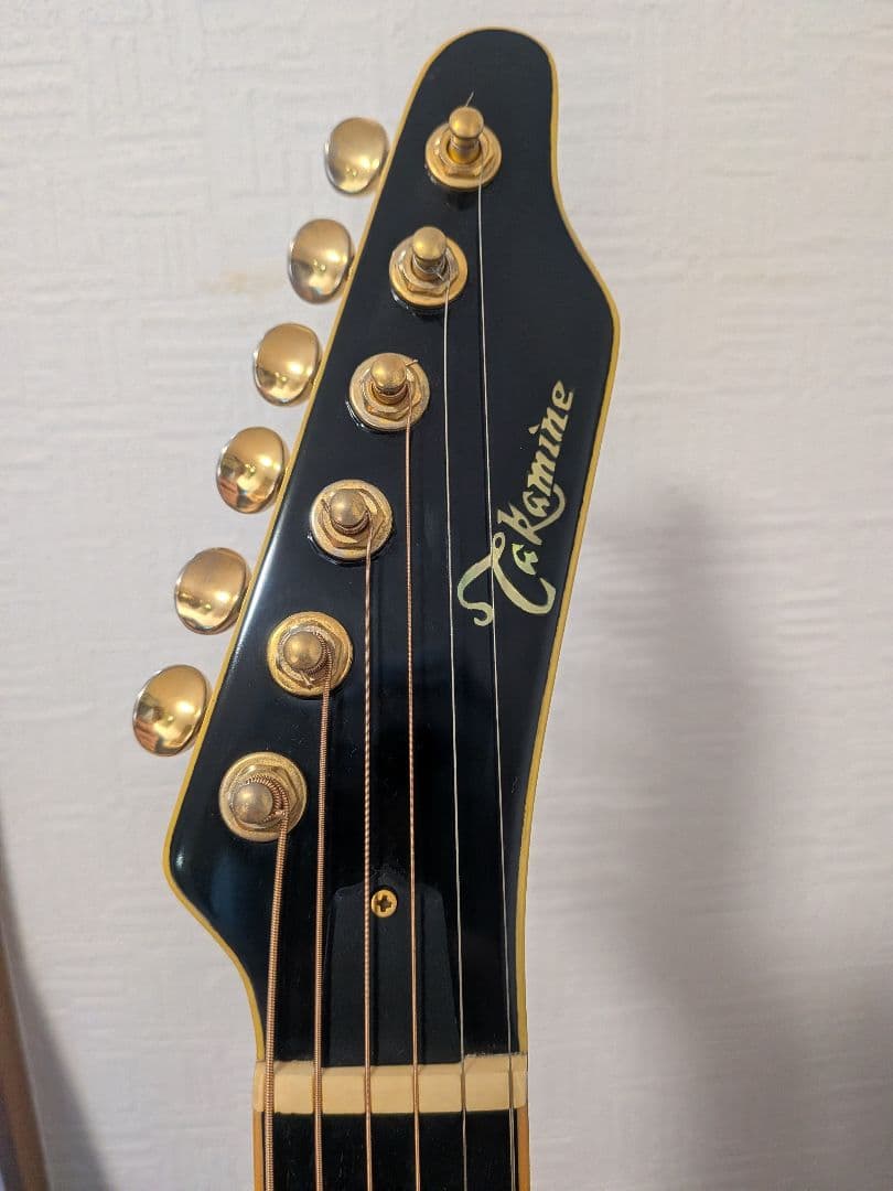 Takamine NPT-115-6NT 長渕剛 JAPANモデル - メルカリ