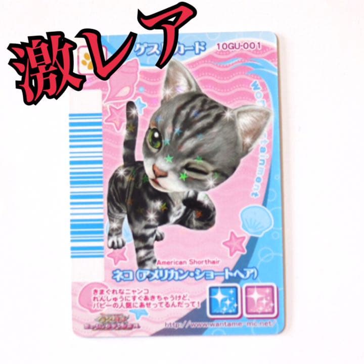 ワンタメ カード ゲストカード 猫 - メルカリ