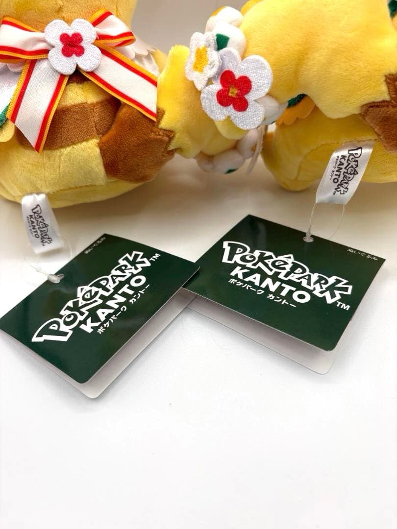 ポケパークカントー 限定 ピカチュウ ぬいぐるみ 2点セット - メルカリ