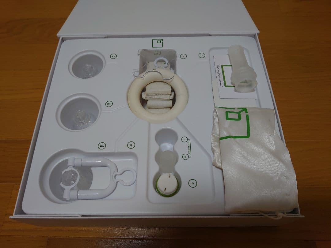 ファローサンフォルテ ちゃん