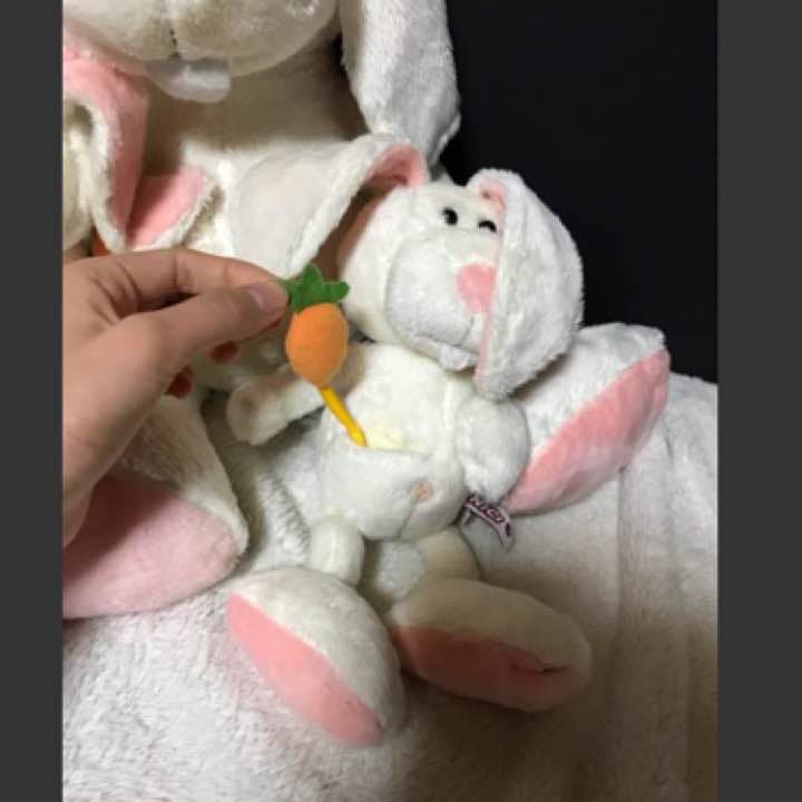 NICI ぬいぐるみ うさぎ - メルカリ