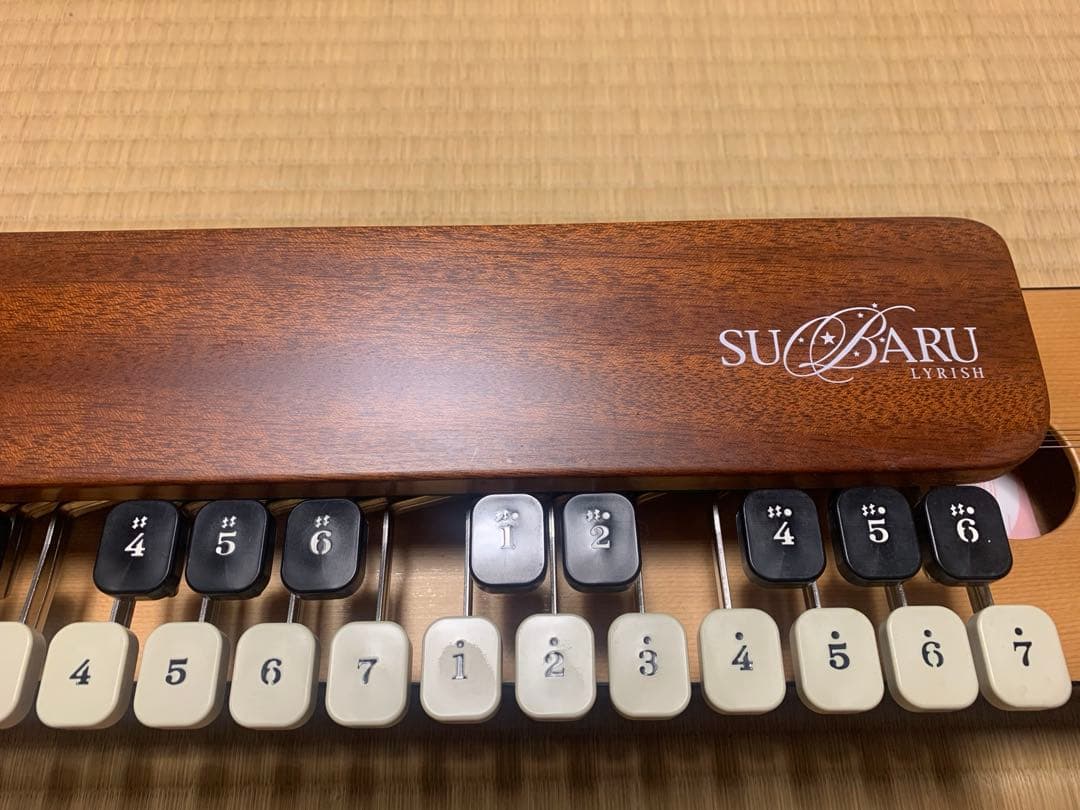 送料込】大正琴 ライリッシュ スバル ソプラノ - メルカリ