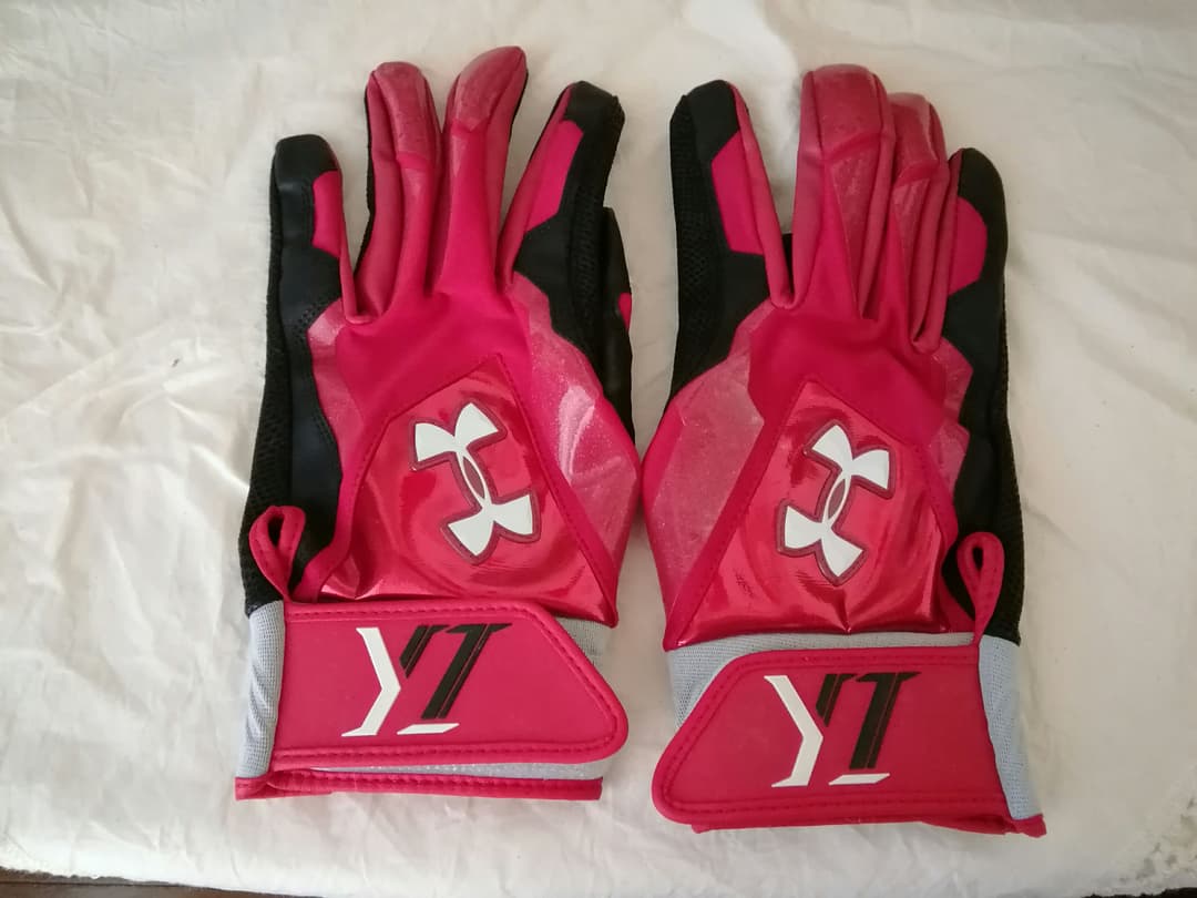 阪神タイガース 糸井嘉男 バッティンググローブ 実使用品 サイン入り