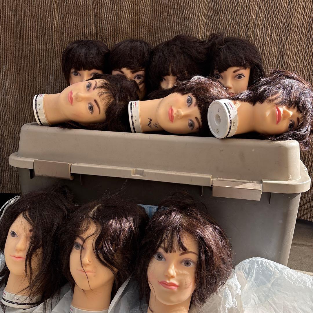 ユーカリージャパン　カットウィッグ国家試験練習用10個セット　値下げあり