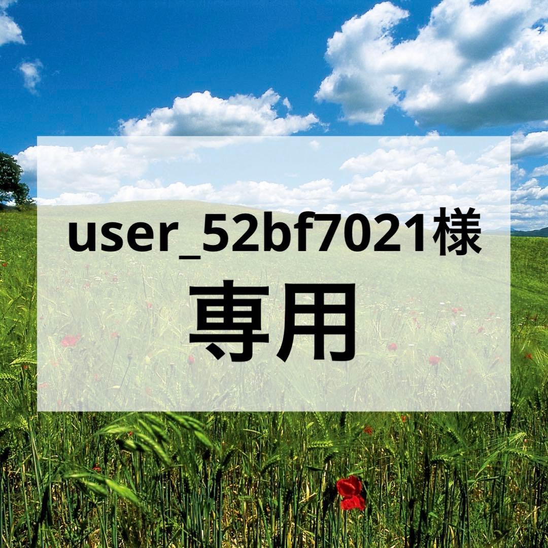user_52bf7021