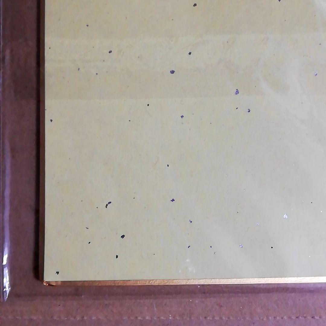 抽プレ 当選品 岸田メル 直筆サイン入り ブルーリフレクション 白井