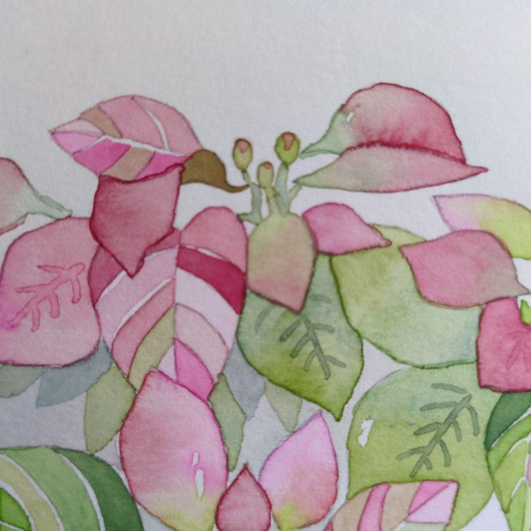 ポインセチアのクリスマス（水彩画）（原画） - メルカリ