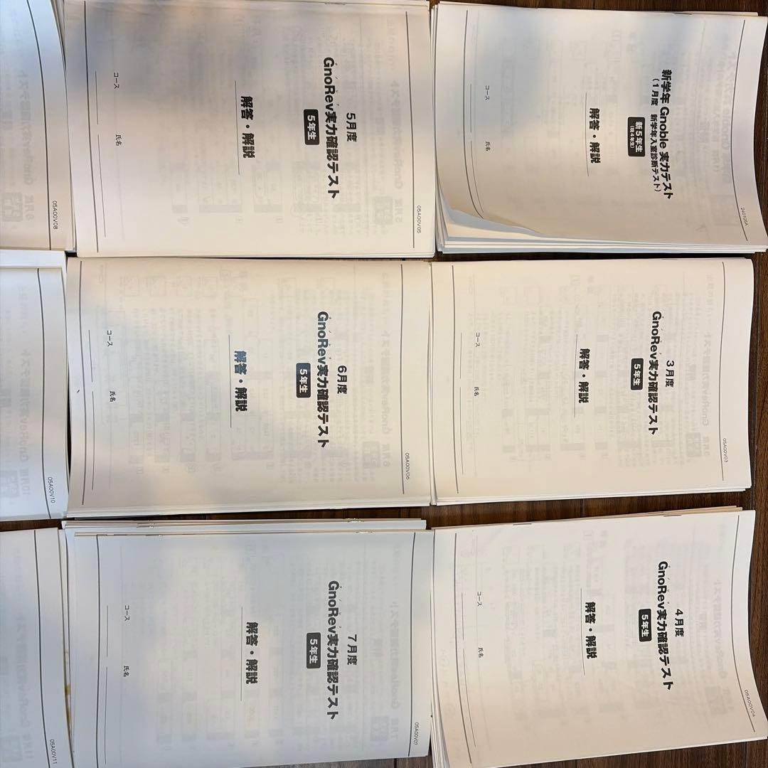 GnoRev 5年生 学力テスト