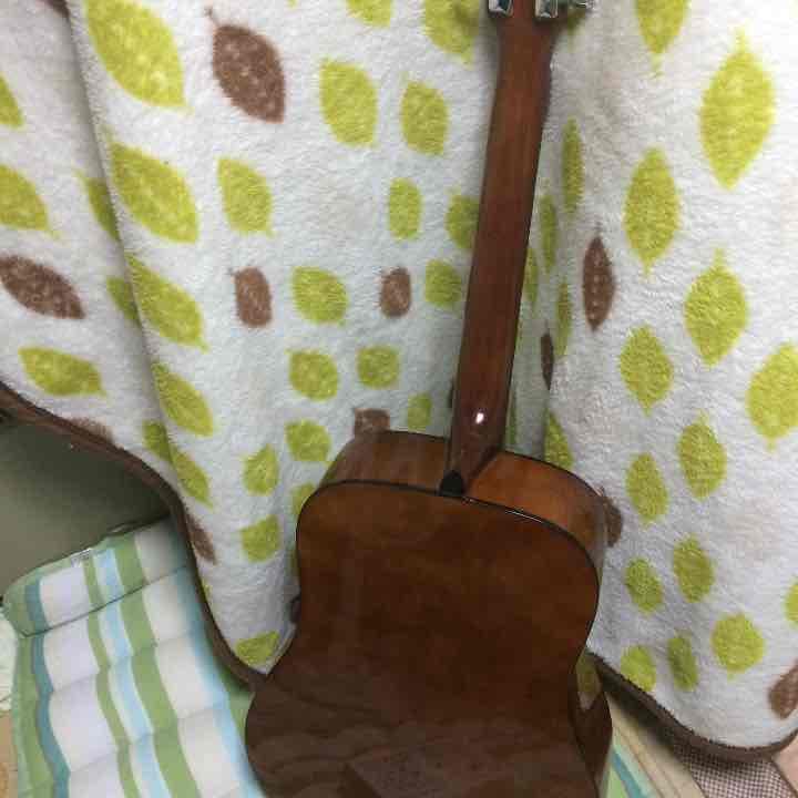 値下げしましたアコースティックギター PLAYTECH D4 ソフトケース