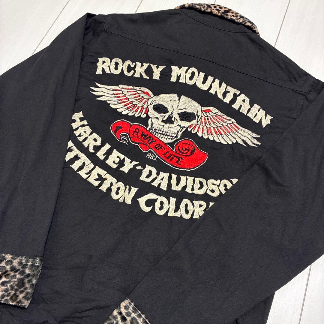 デッドストック！HARLEY-DAVIDSON スカルウイング 刺繍 長袖シャツ