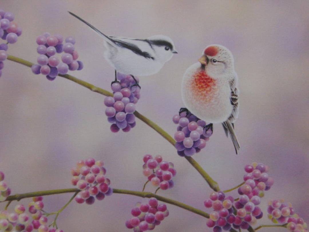 山地司、【紫式部とエナガとベニヒワ】、希少な額装用画集より